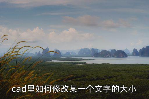 cad里如何修改某一個文字的大小