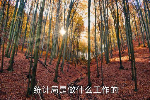 統(tǒng)計(jì)工作,統(tǒng)計(jì)局職責(zé):收集信息是從事統(tǒng)計(jì)工作的基礎(chǔ)
