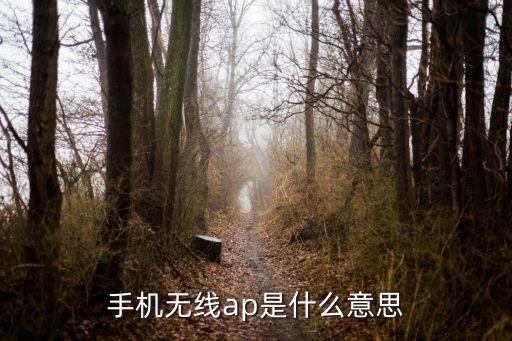 手機無線ap是什么意思