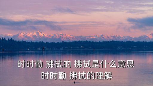 時時勤 拂拭的 拂拭是什么意思 時時勤 拂拭的理解