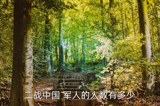 二戰(zhàn)中國(guó) 軍人的人數(shù)有多少