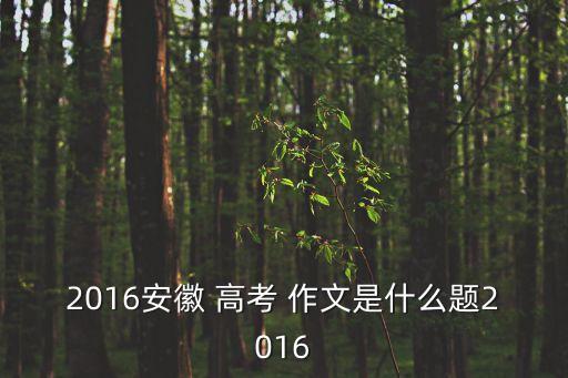 2016安徽 高考 作文是什么題2016