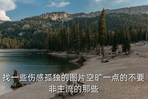 找一些傷感孤獨的圖片空曠一點的不要非主流的那些