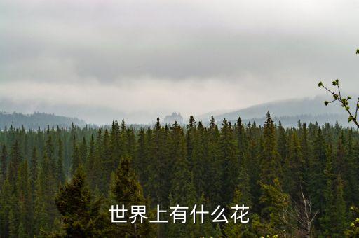 世界上有哪些花，世界上有什么花