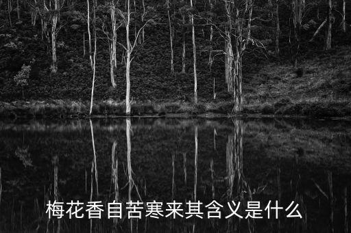 梅花香自苦寒來其含義是什么