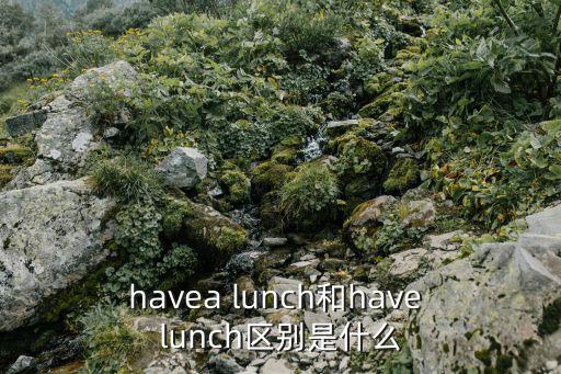 havea lunch和have lunch區(qū)別是什么