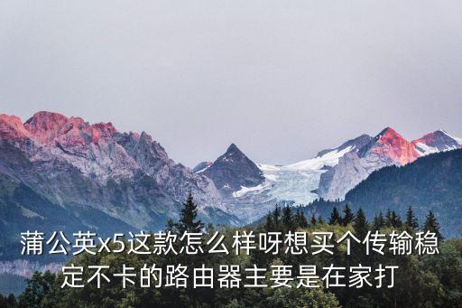 蒲公英x5，X5蒲公英怎么不能使用啊