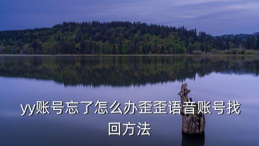  yy賬號忘了怎么辦歪歪語音賬號找回方法