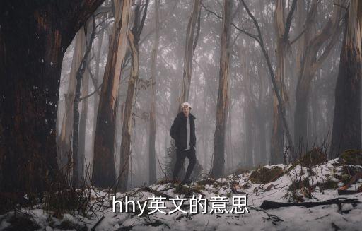 閃爍的英文，閃亮用英語怎么說