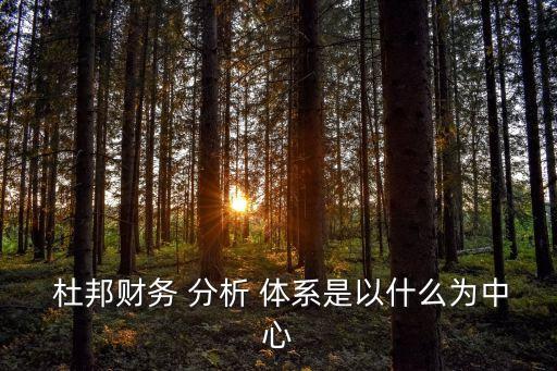 杜邦分析體系,杜邦分析:以財(cái)務(wù)數(shù)據(jù)為中心進(jìn)行比率分析