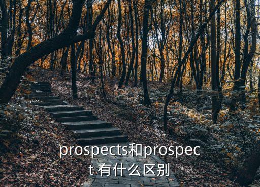 prospects和prospect 有什么區別