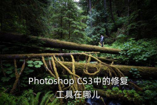 Photoshop CS3中的修復工具在哪兒