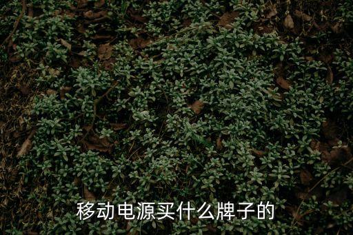 移動電源品牌，移動電源哪個品牌好