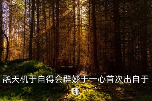 融天機于自得會群妙于一心首次出自于哪