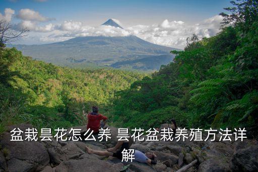 盆栽曇花怎么養 曇花盆栽養殖方法詳解