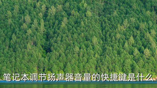 筆記本調節(jié)揚聲器音量的快捷鍵是什么