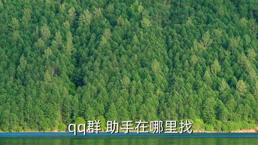 qq群助手,怎么進(jìn)群?這些東西!