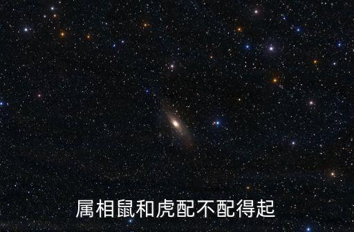 虎和鼠合不合，屬相鼠和虎配不配得起