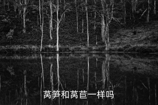萵筍和萵苣一樣嗎