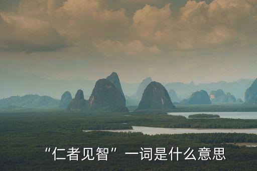 “仁者見智”一詞是什么意思