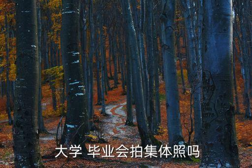 大學(xué)畢業(yè)照,畢業(yè)照可選擇不拍不影響證書和畢業(yè)