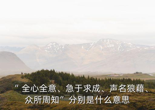 全心全意的意思,第二集】選民投票反對派候選人競選廣播