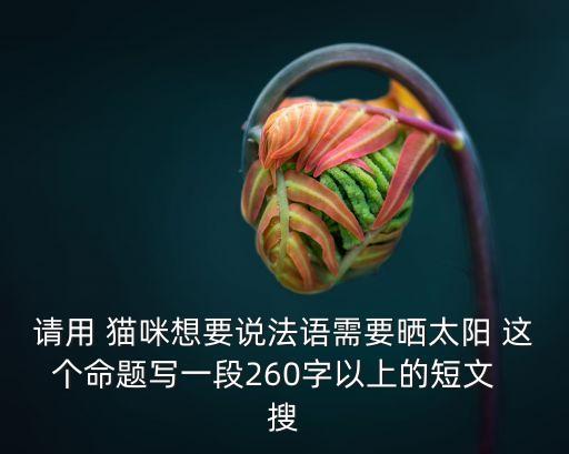 朋友圈曬貓說什么，為什么在朋友圈曬娃讓人煩曬貓卻讓人喜歡