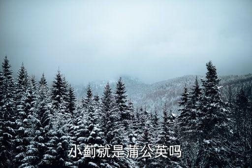 小薊的功效與作用,大薊復方護肝茶