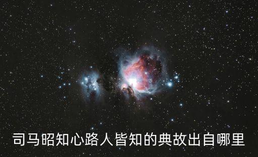司馬昭知心路人皆知的典故出自哪里