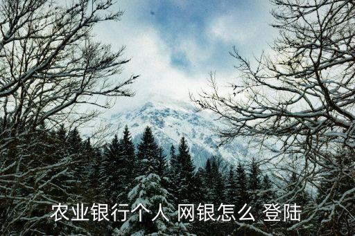 農業銀行個人 網銀怎么 登陸