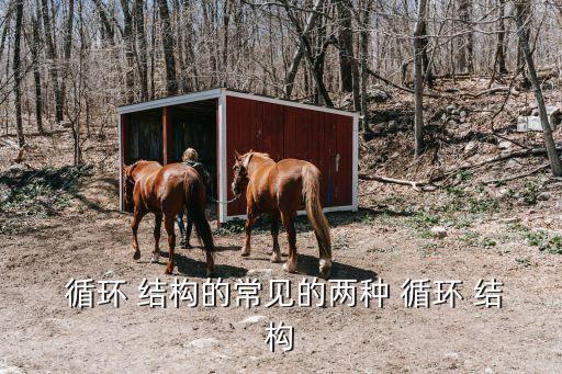 循環(huán)結(jié)構(gòu),c語言中有三個基本結(jié)構(gòu)