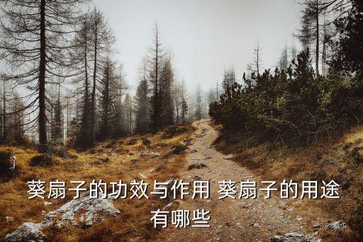 葵扇,葵扇含有抗腫瘤物質(zhì)可外用治療跌打損傷