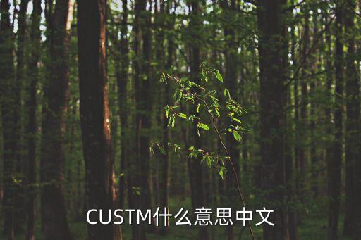 custom翻譯，CUSTM什么意思中文