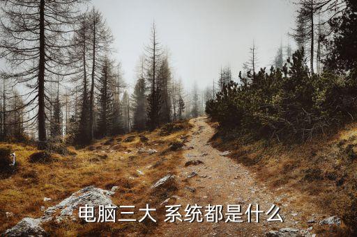  電腦三大 系統(tǒng)都是什么