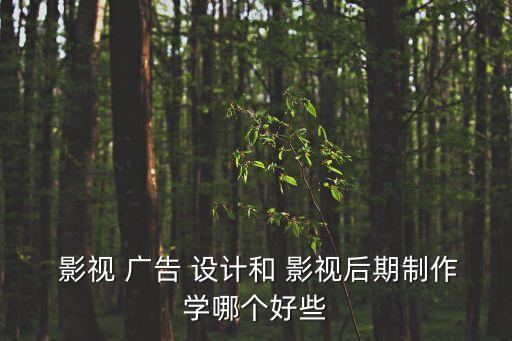 影視廣告設(shè)計,我做過導(dǎo)演廣告更喜歡找懂藝術(shù)的人設(shè)計