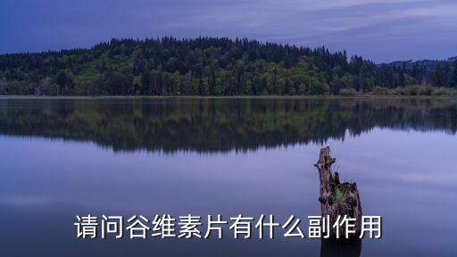 請(qǐng)問谷維素片有什么副作用