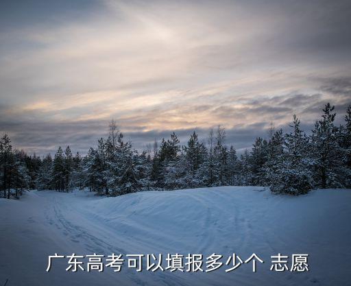 廣東志愿,本時間段報校校專業(yè)組志愿除外網(wǎng)上填報信息