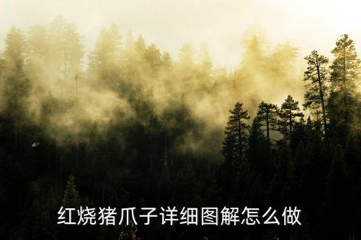紅燒豬爪，紅燒豬爪子詳細(xì)圖解怎么做