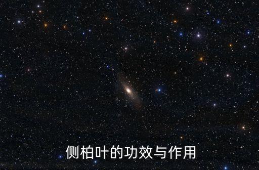 側(cè)柏葉功效,涼血止血兼收斂柏枝有助治療跌打損傷
