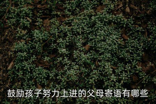 家長對孩子的鼓勵，父母鼓勵孩子的話語