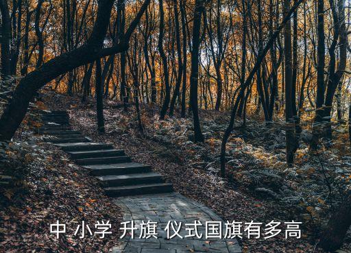 中 小學(xué) 升旗 儀式國旗有多高
