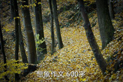 想象作文 600字