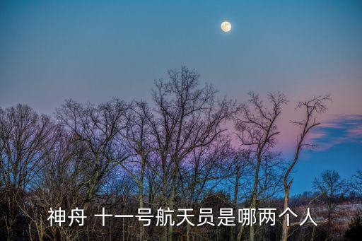 神舟十一,神舟十一指中國發(fā)射的載人飛船