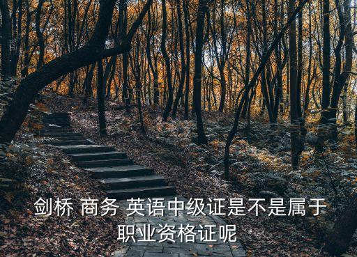 劍橋商務英語證書,劍橋商務英語證書bec有效期為終身有效