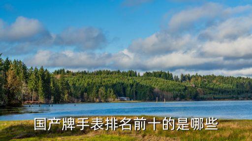 國產手表品牌排行榜前十名，國產牌手表排名前十的是哪些