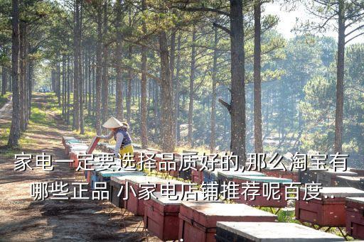 海爾小家電,海爾冰箱和美的冰箱哪個(gè)好?