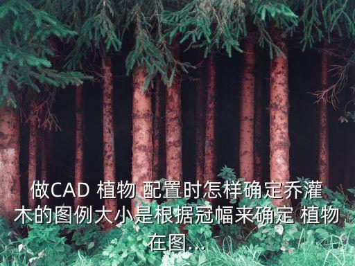 植物配置表,景觀設計中用到的1-1配置注意事項