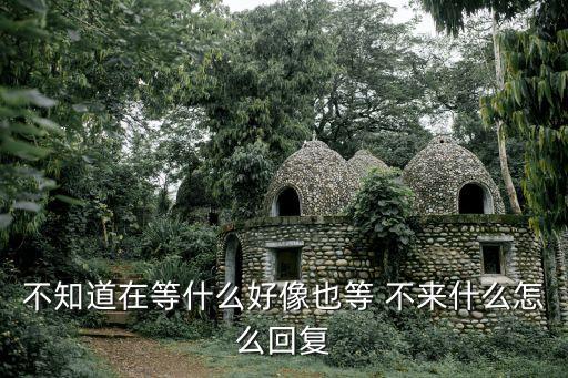 等不來的你,如果你愛的人不喜歡你就在你累的時候挑最好的