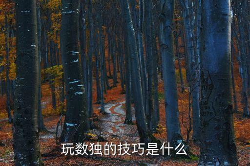 玩數(shù)獨(dú)的技巧是什么