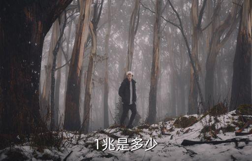 1兆等于多少,1萬億除以1.3萬億等于1!